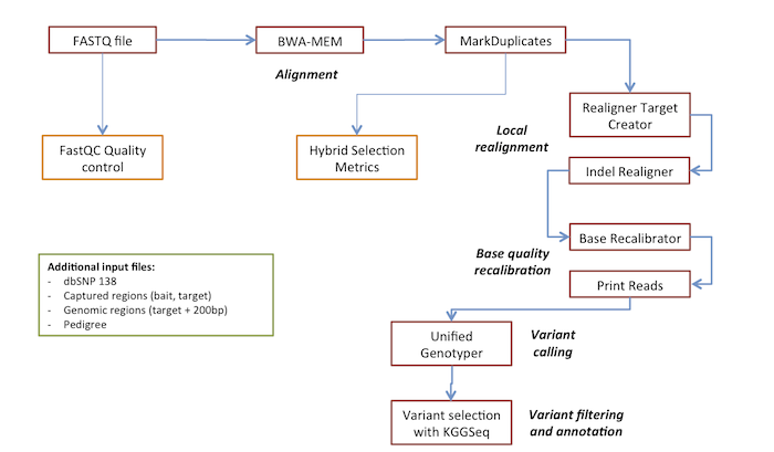 Exome analysis workflow