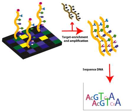 Exome sequencing-Part 2